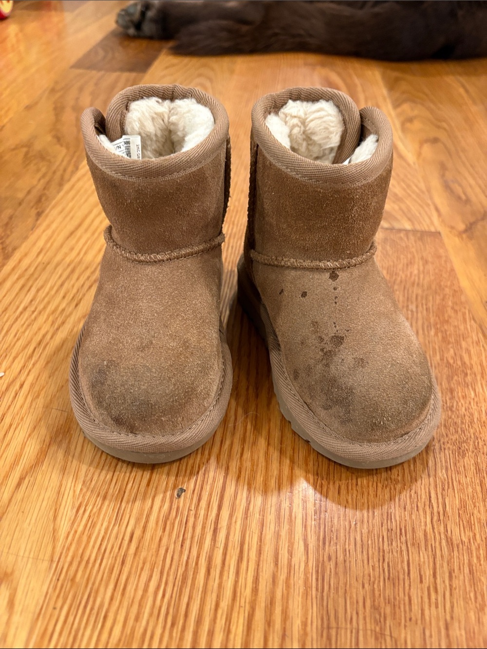 UGG Kids Chestnut Suede Shearling-Lined Booties